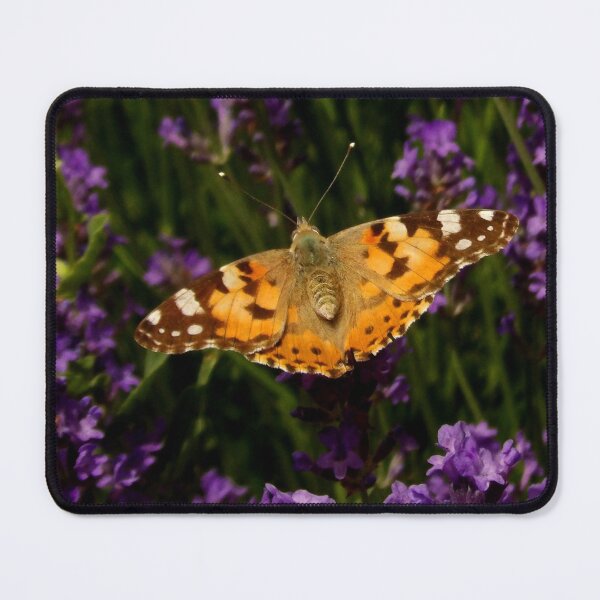Item preview, Butterfly 2 designed and sold by Guardi71.