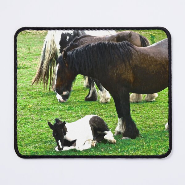 Item preview, Gypsy Vanner Horses in the Rain designed and sold by Shulie1.