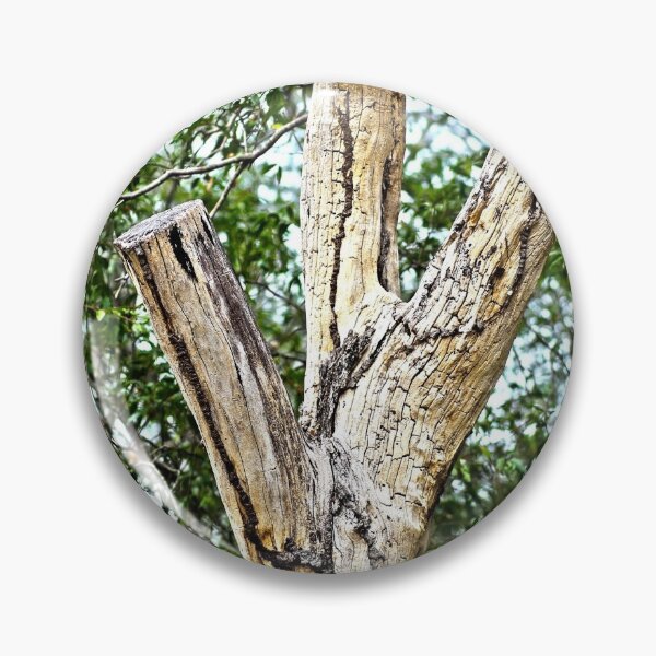 Item preview, cut tree designed and sold by Jodie Cooper.
