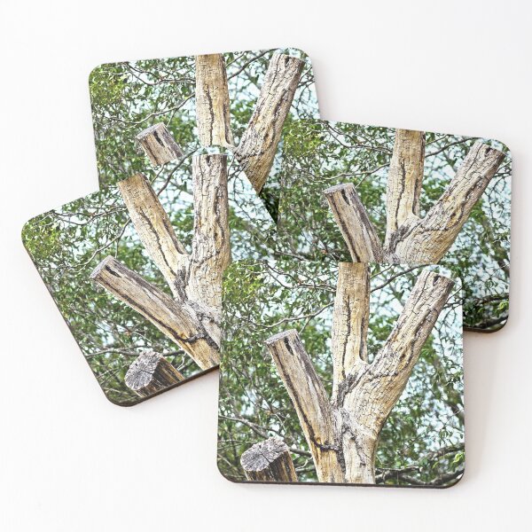 Item preview, cut tree designed and sold by Jodie Cooper.