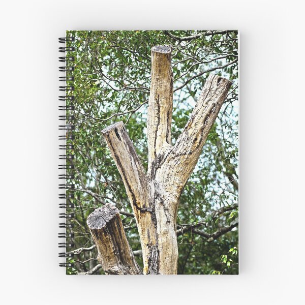 Item preview, cut tree designed and sold by Jodie Cooper.