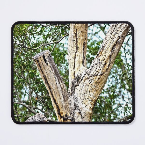 Item preview, cut tree designed and sold by Jodie Cooper.