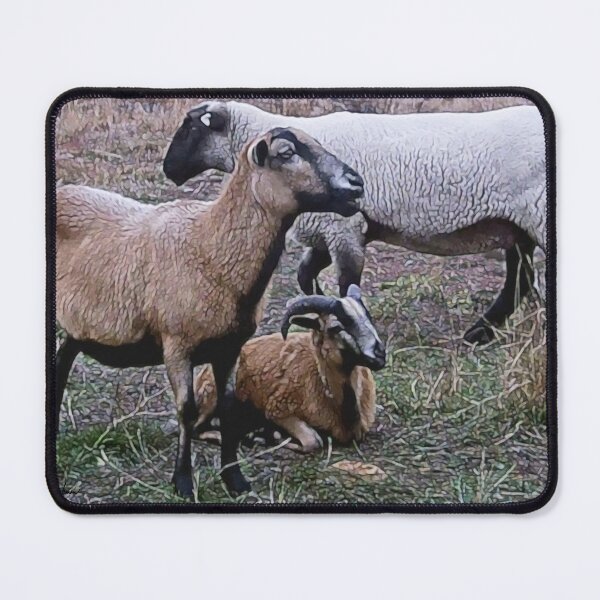 Item preview, Goats and Sheep At the Upper Pasture designed and sold by dogplay.