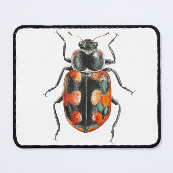 Item preview, Chilean Chinita (Eriopis chilensis) designed and sold by SandraHaro.