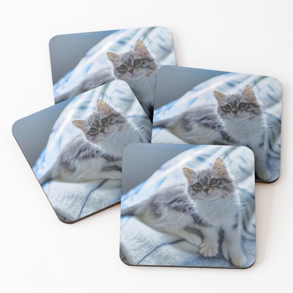 Item preview, Snuggle Bug The Siberian Forest Kitten designed and sold by KDartisticeye.