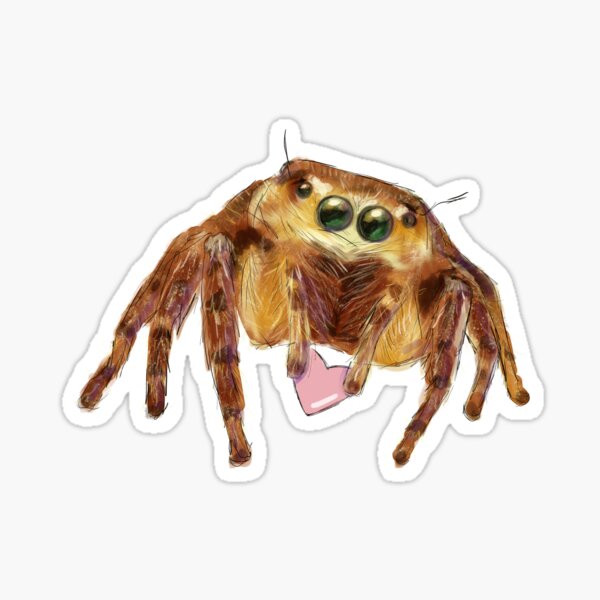  iPhone 13 Jumping Spider Whisperer Funny Pet Jumping Spider  Meme Case : Cell Phones & Accessories