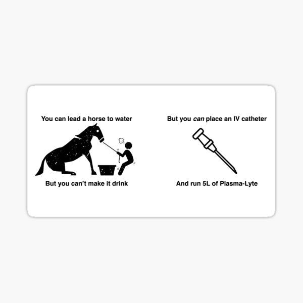 "You can lead a horse to water " Sticker for Sale by sfrail Redbubble