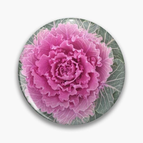 Item preview, Cauliflower style designed and sold by Rashkin.