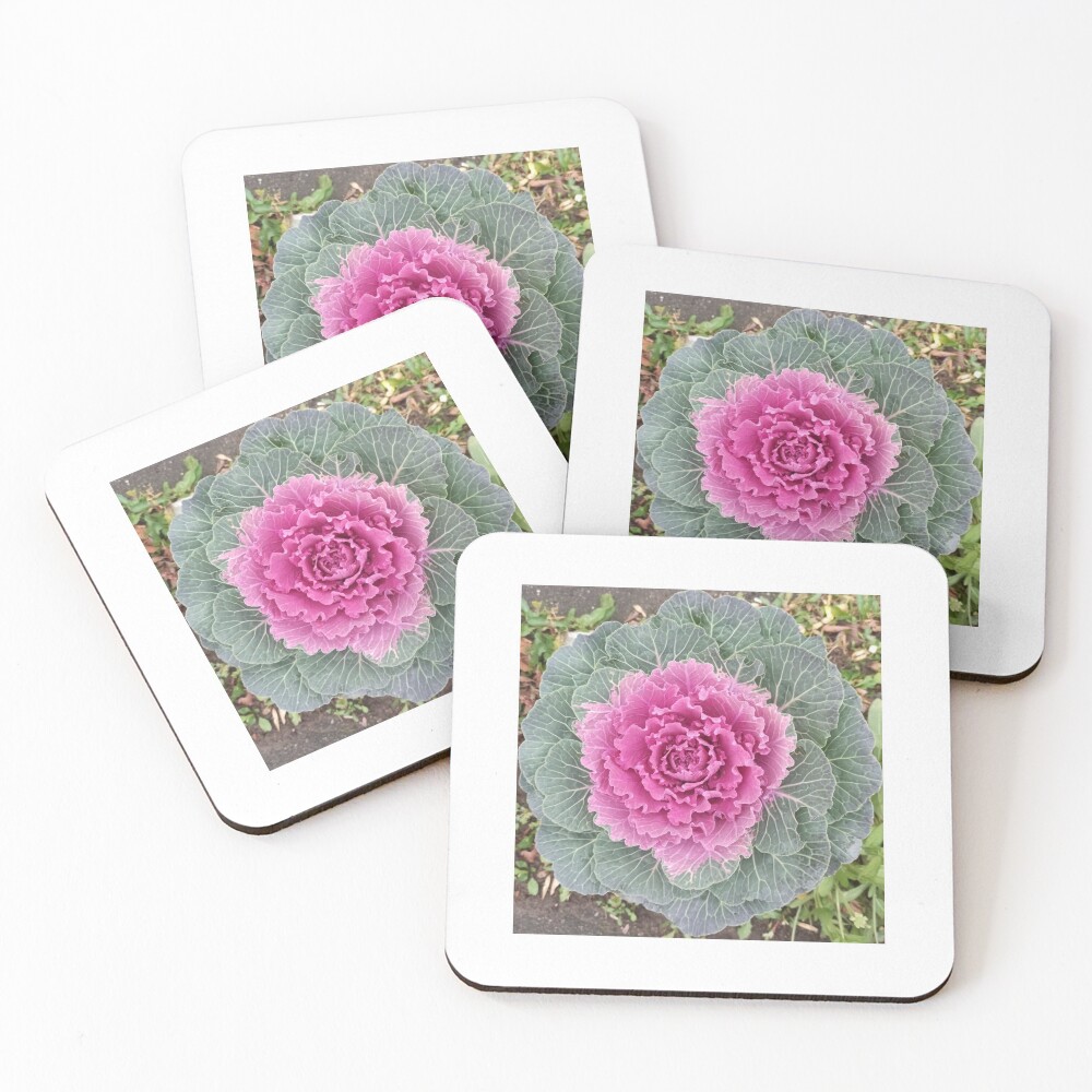 Item preview, Coasters (Set of 4) designed and sold by Rashkin.