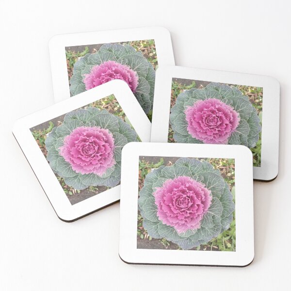 Item preview, Cauliflower style designed and sold by Rashkin.