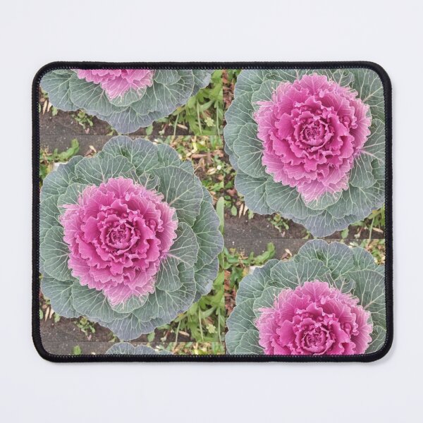 Item preview, Cauliflower style designed and sold by Rashkin.
