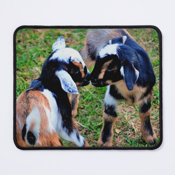 Item preview, Baby Goats designed and sold by Savannah Gibbs.