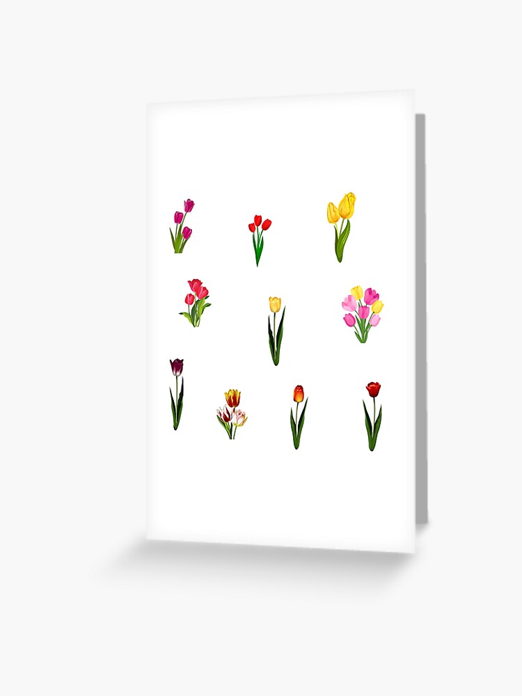 Mixed Color Flowers Birthday | Greeting Card Mixed Color Flowers Birthday | Greeting Card