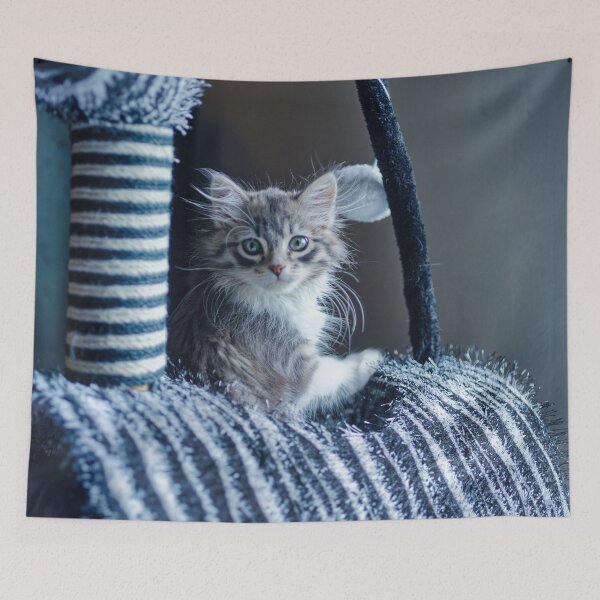 Item preview, Snuggle Bug The Siberian Forest Kitten designed and sold by KDartisticeye.