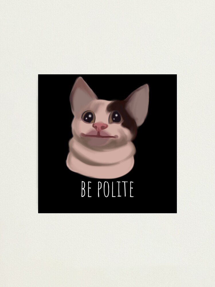 Polite Cat Meme | Photographic Print