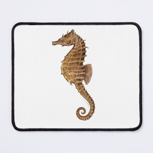 Item preview, Northern Seahorse (Hippocampus hudsonius)  designed and sold by Tamara Clark.