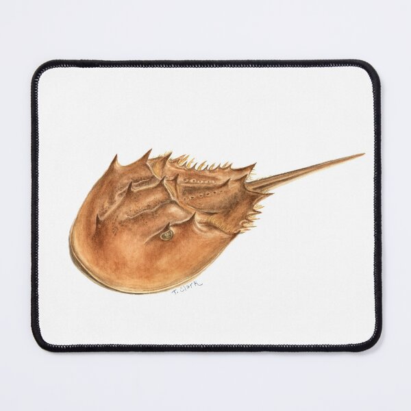 Item preview, Horseshoe Crab (Limulus polyphemus) designed and sold by Tamara Clark.