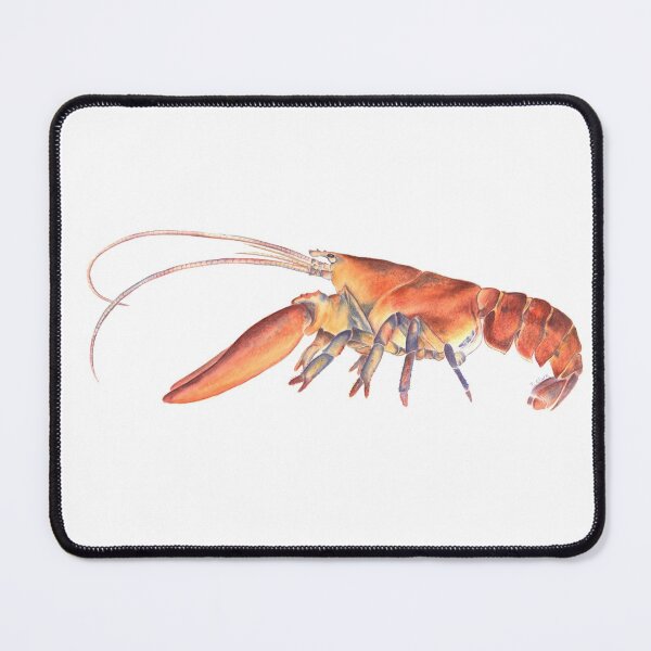 Item preview, Northern Lobster (Homarus americanus) designed and sold by Tamara Clark.