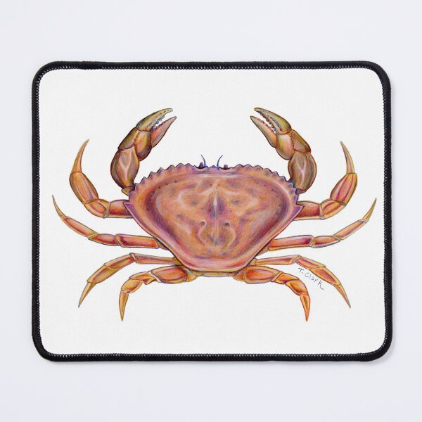 Item preview, Dungeness Crab (Metacarcinus magister) designed and sold by Tamara Clark.