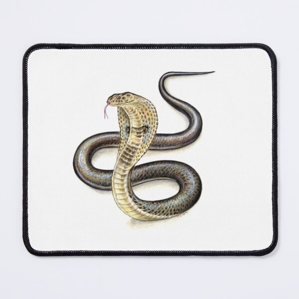 Item preview, Indian Cobra (Naja naja) designed and sold by Tamara Clark.