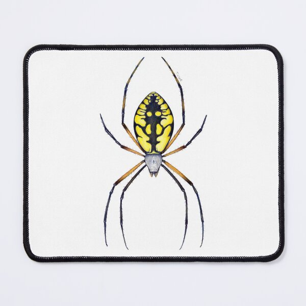 Item preview, Argiope Spider (Orb Weaver) designed and sold by Tamara Clark.