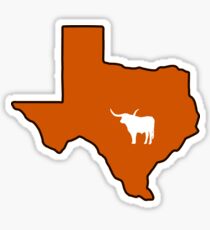 Austin Texas Longhorn Sticker