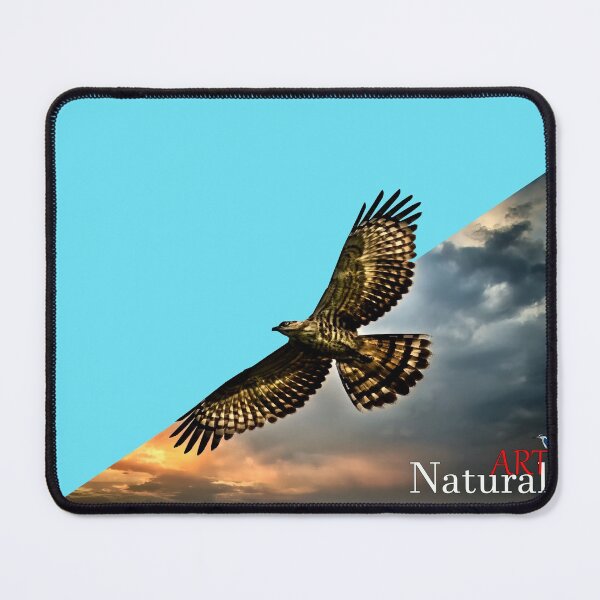 Item preview, Crested Goshawk designed and sold by Natural-Arts.