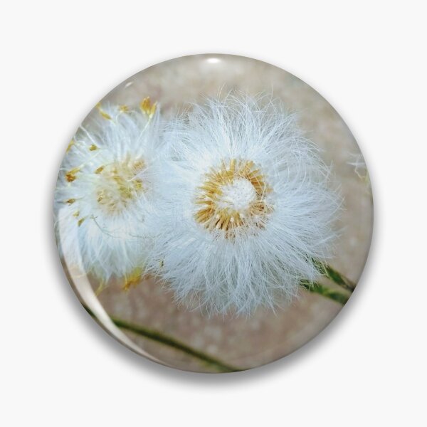 Item preview, Flores en el jardín durante el verano. designed and sold by Momentary.