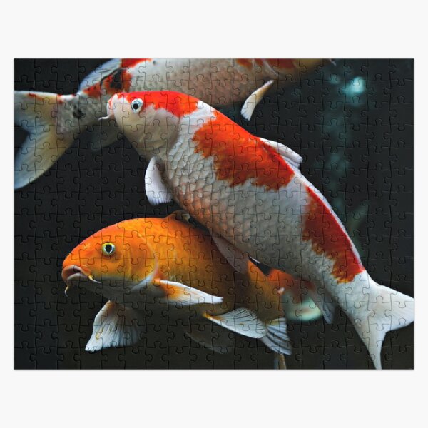 Carp Fishing Jigsaw Puzzles for Sale