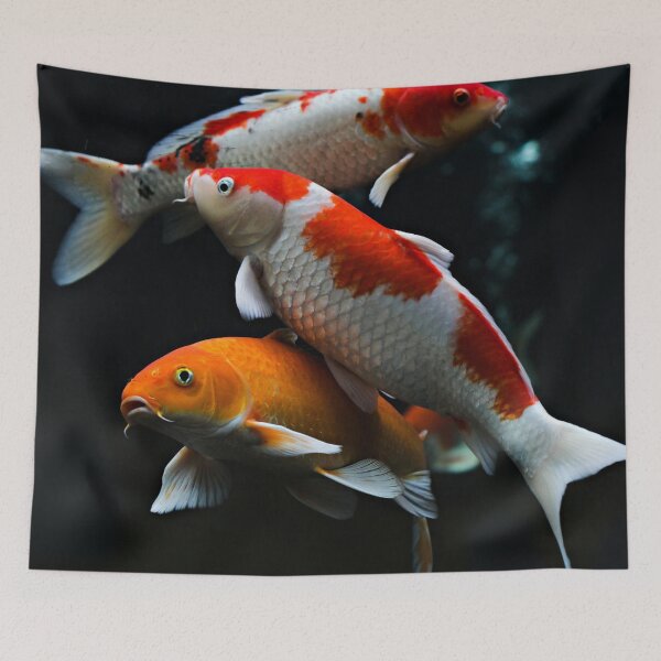 Item preview, Japanese koi fish pond designed and sold by ONORMAL.