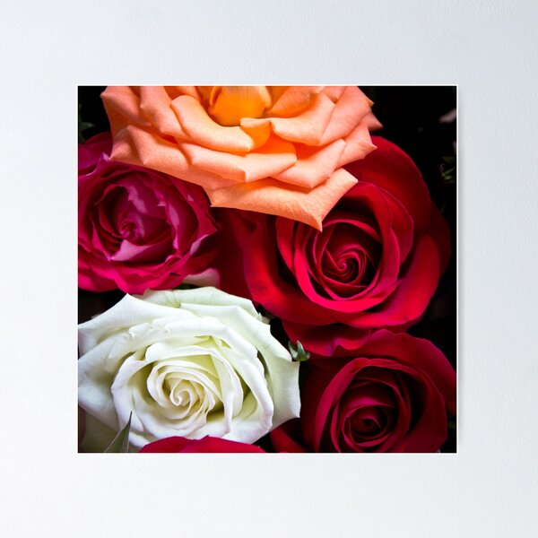 Item preview, Roses for Mother's day  designed and sold by KSKphotography.