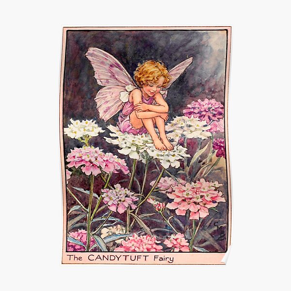 The Candytuft Fairy Poster