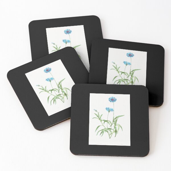 Item preview, Cornflower - Botanical Illustration designed and sold by chimakingthings.