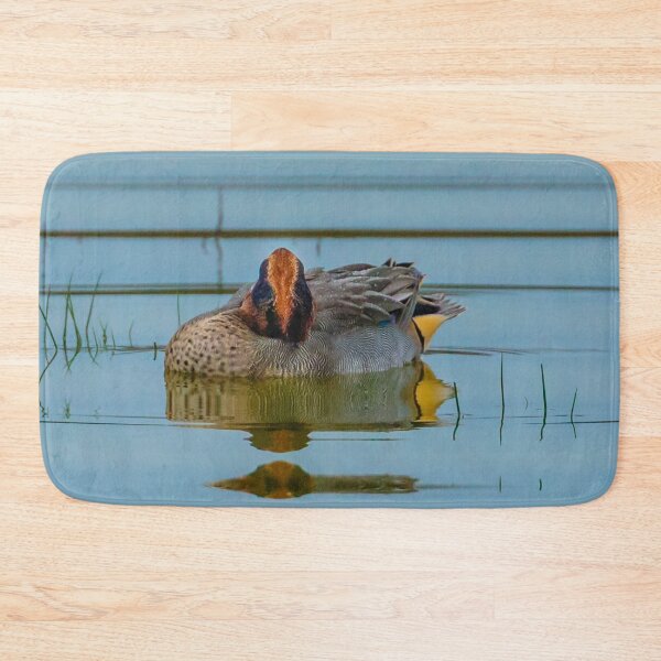 Item preview, Sleeping Eurasian Teal   designed and sold by Dalyndigital Photography.