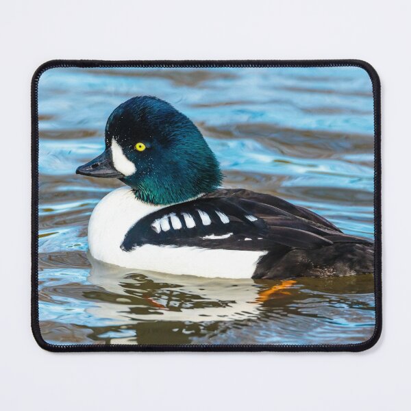 Item preview, Barrows Goldeneye designed and sold by Dalyndigital Photography.