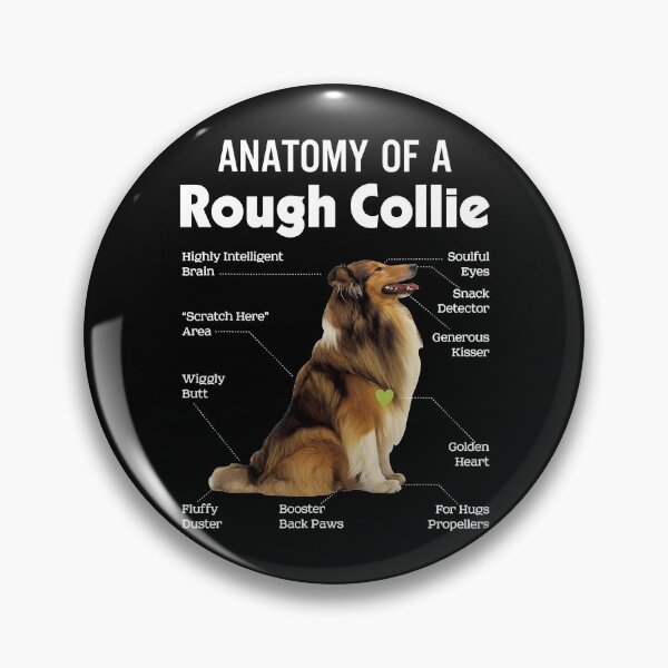 Item preview, Anatomy Of A Rough Collie Funny Dog Lover designed and sold by CeciliaGallaway.