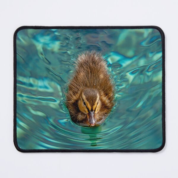 Item preview, Little Duckling designed and sold by Dalyndigital Photography.