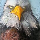 Eagle Eyes by Marcie Wolf-Hubbard