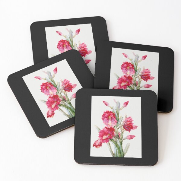 Item preview, Disocactus speciosus - Botanical Illustration designed and sold by chimakingthings.