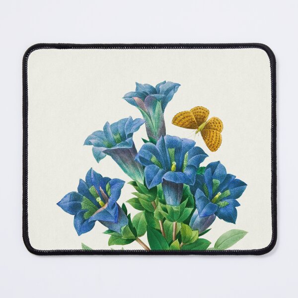 Item preview, Gentiana - Botanical Illustration designed and sold by chimakingthings.