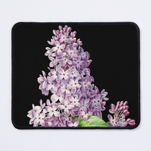 Item preview, Lilac flower - Botanical Illustration designed and sold by chimakingthings.