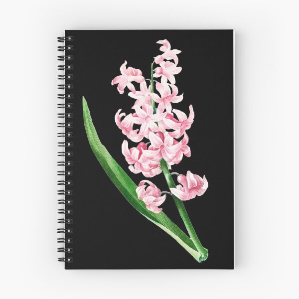 Item preview, Pink Hyacinth - Botanical Illustration designed and sold by chimakingthings.