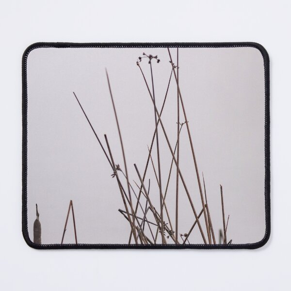 Item preview, Reeds in the fog designed and sold by Ingo Gerlach.