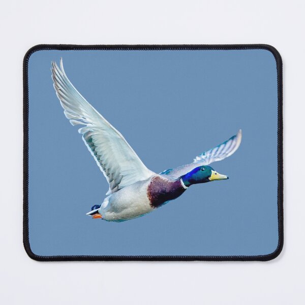 Item preview, Mallard flight designed and sold by Dalyndigital Photography.