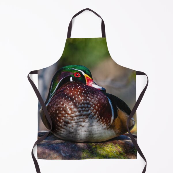 Item preview, Sat in the Sun Duck designed and sold by Dalyndigital Photography.