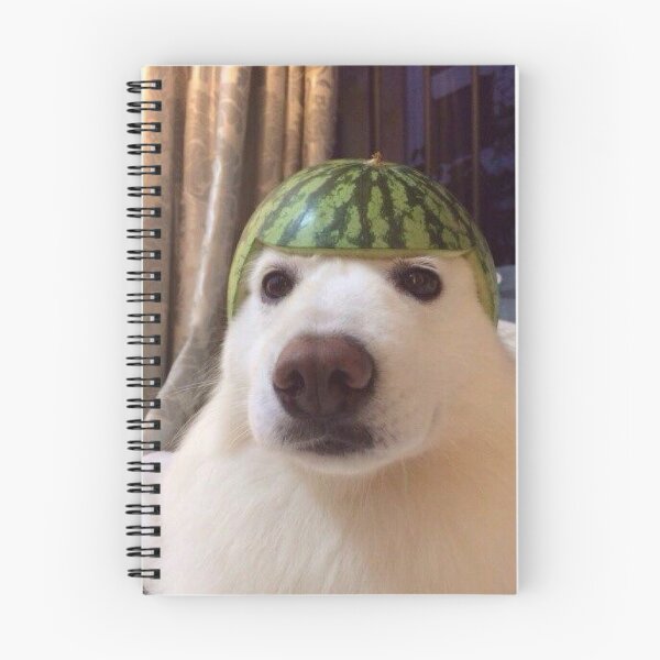 Item preview, dog watermelon hat designed and sold by MadoScientist.