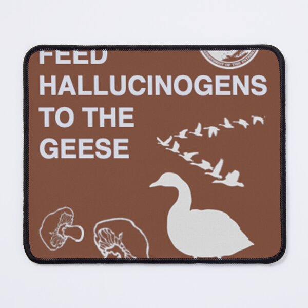 Item preview, Do Not Feed Hallucinogens to the Geese Sticker designed and sold by NicoKlauke.