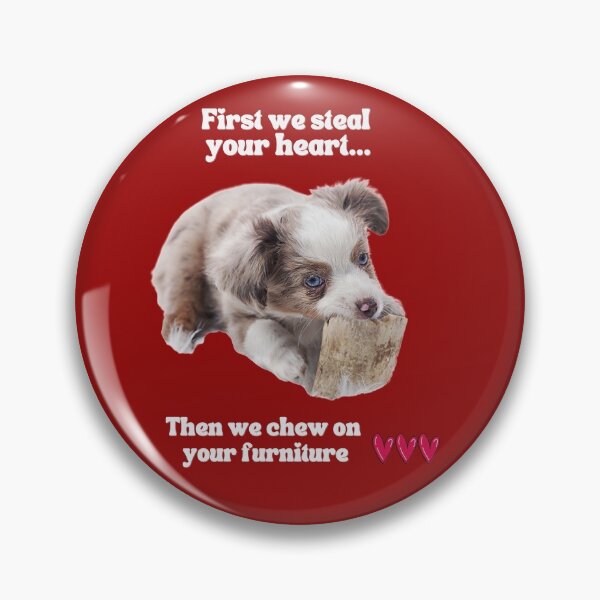 Item preview, Australian Shepherd Puppy, Australian Shepherd Valentines Day Puppy, First we Steal Your Heart designed and sold by WanderTravels.