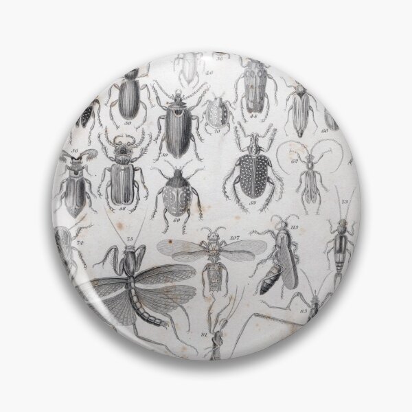 Item preview, Insectorama designed and sold by decartsnorth.