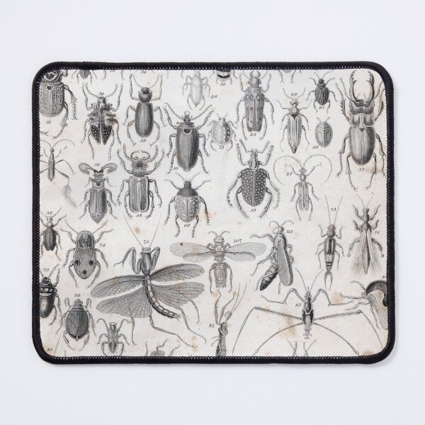 Item preview, Insectorama designed and sold by decartsnorth.